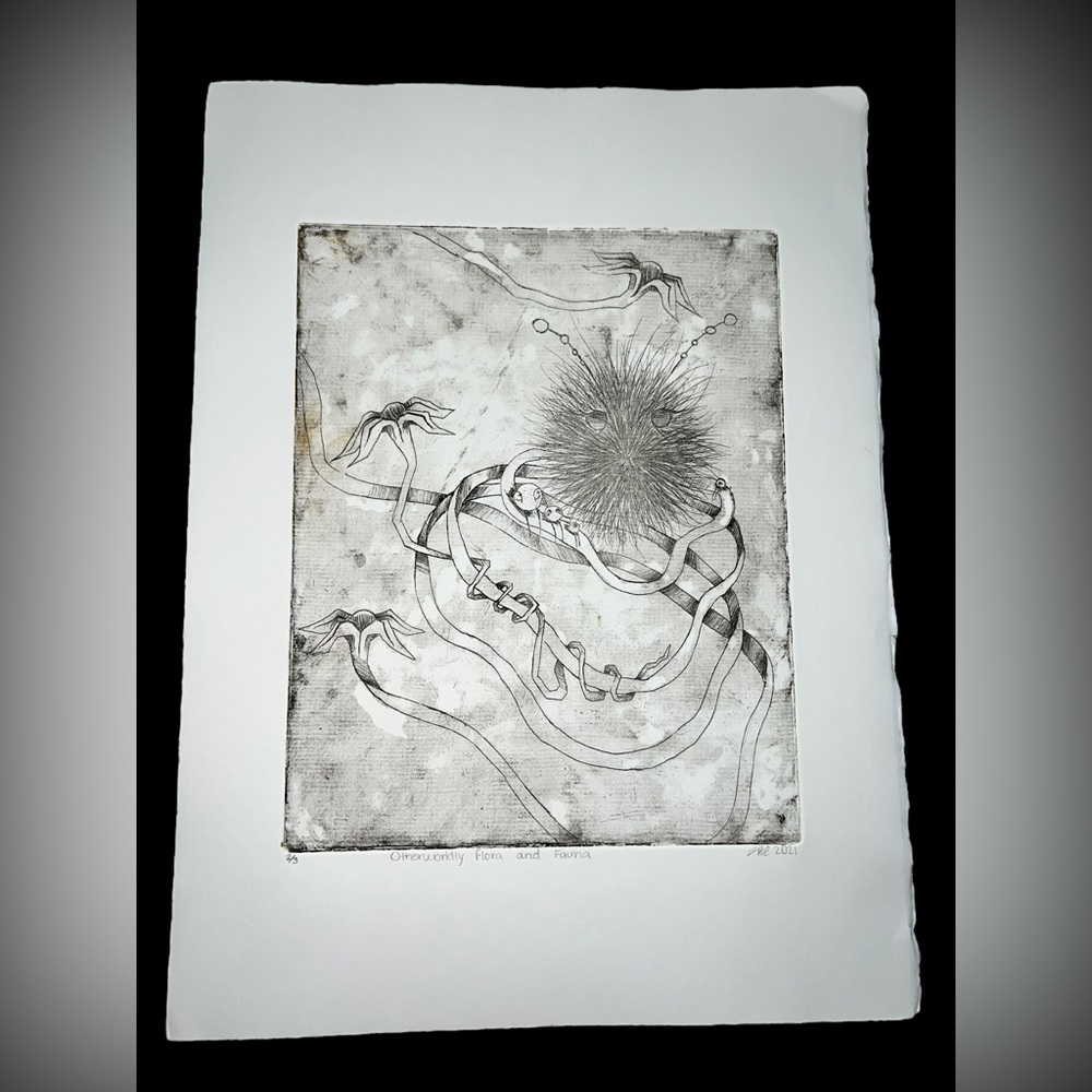 Signed artist Original monotype copper etching art quirky Star Trek tribble